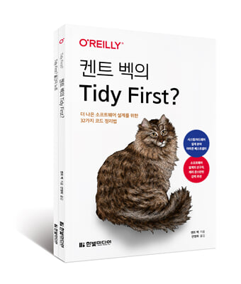 Ʈ Tidy First?