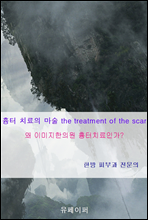 ġ the treatment of the scar