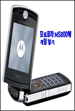 ζ MS800 ֱ
